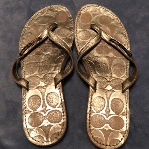 Coach Poppy Flip Flops, size 7